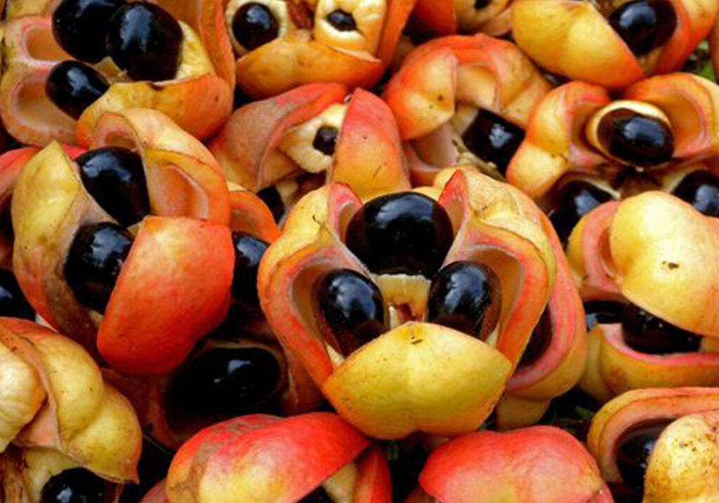 Ackee